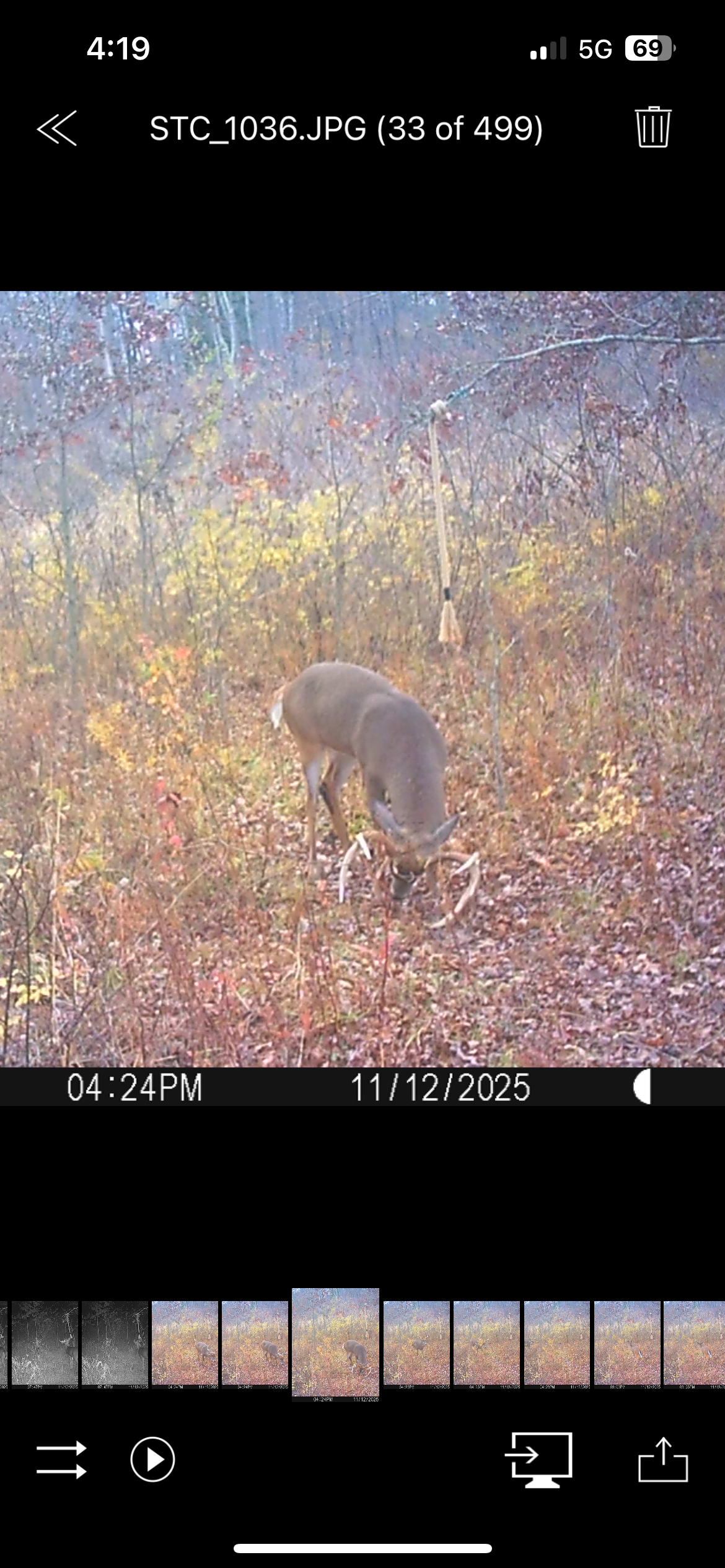 4’ Scrape Rope and Versatail bundle