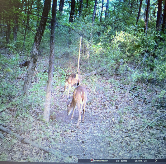 4’ Scrape Rope Kit